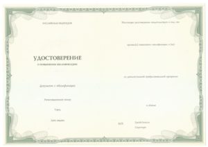 Бланк удостоверения о повышении квалификации НОЧУ ДПО «ИППиП» отделение Танцевально-двигательной психотерапии